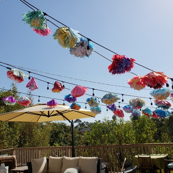 Meet the Posher - Picture 4 of 4